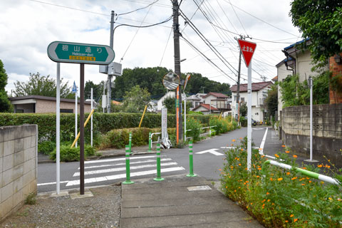 碧山通り