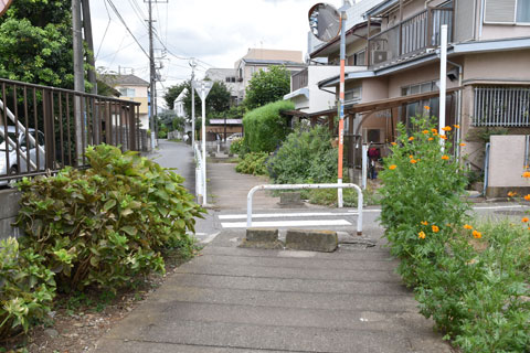 道路と合流