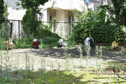 公園ファイブ