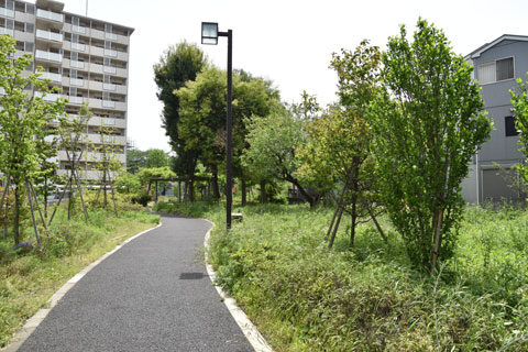 遊歩道