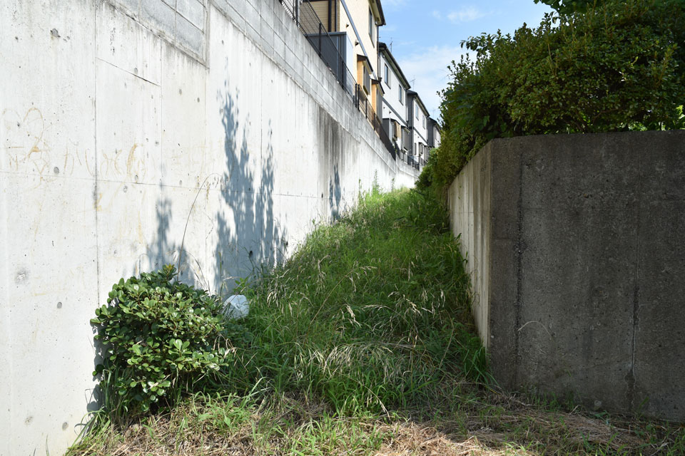 草叢