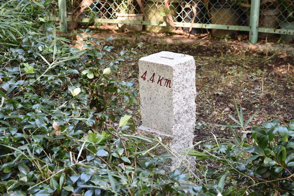 4.4km
