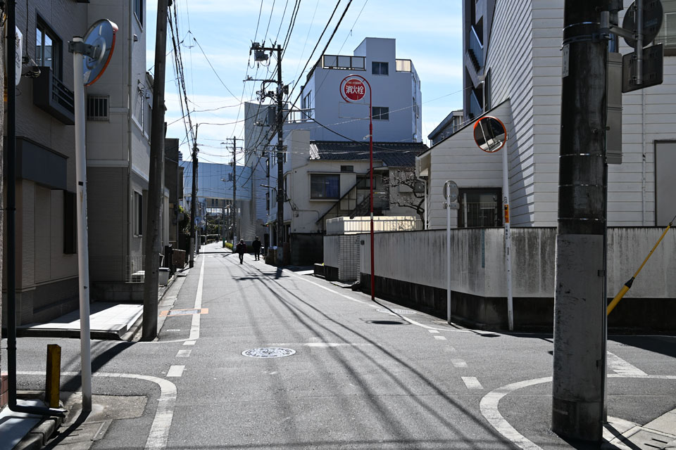 南へ