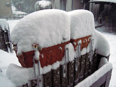 大雪