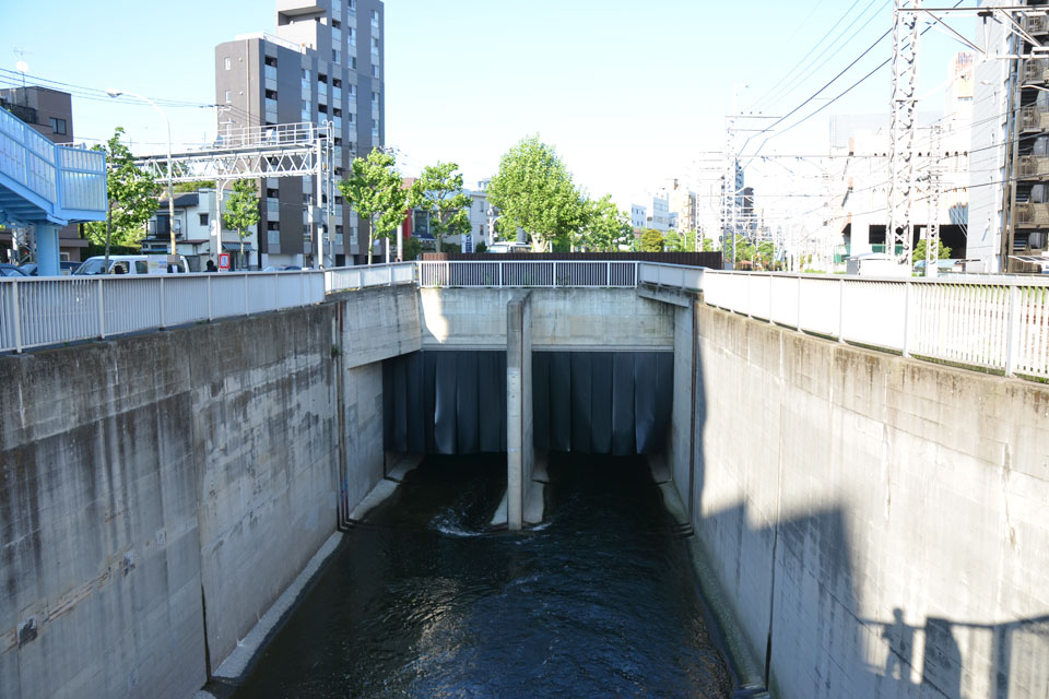 神田川高田馬場分水
