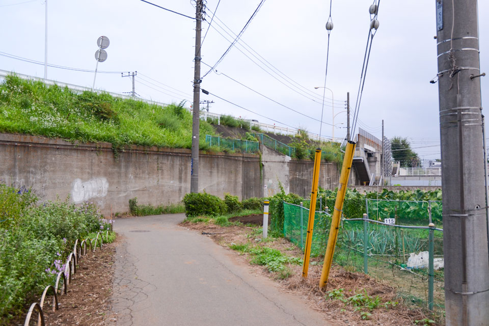 旧道