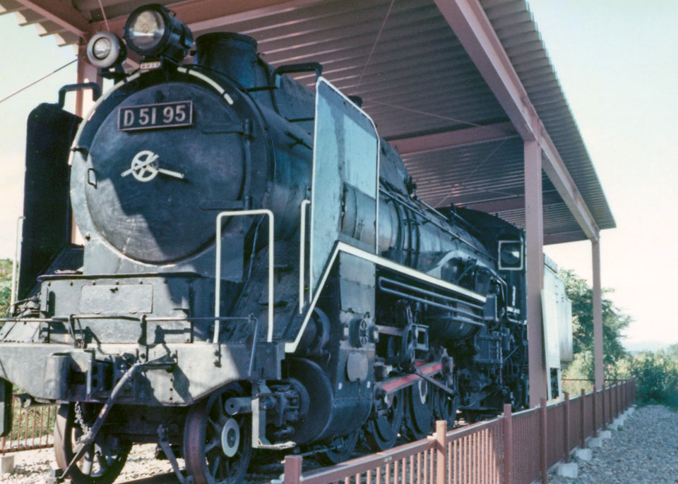 D5195