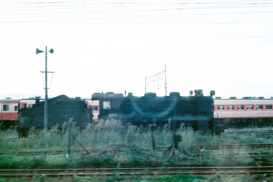 49612