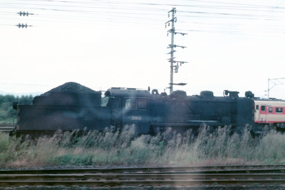 59614