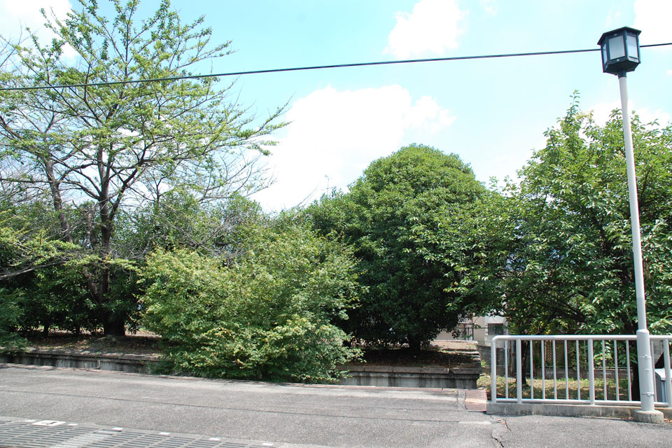 廃ホーム
