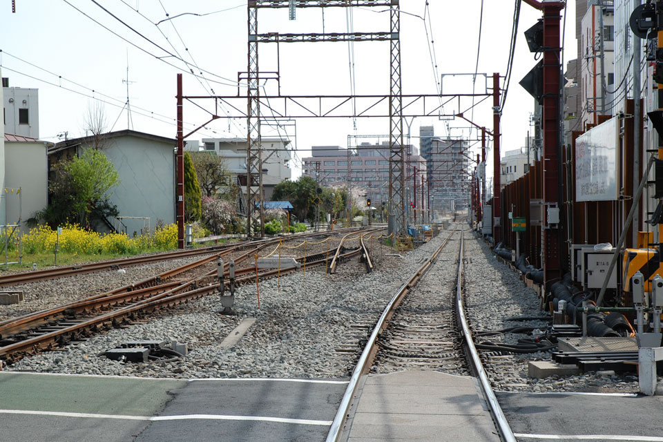 富11