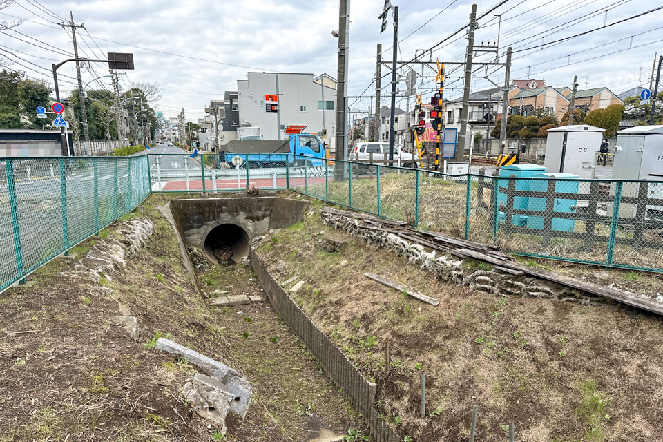 千川上水