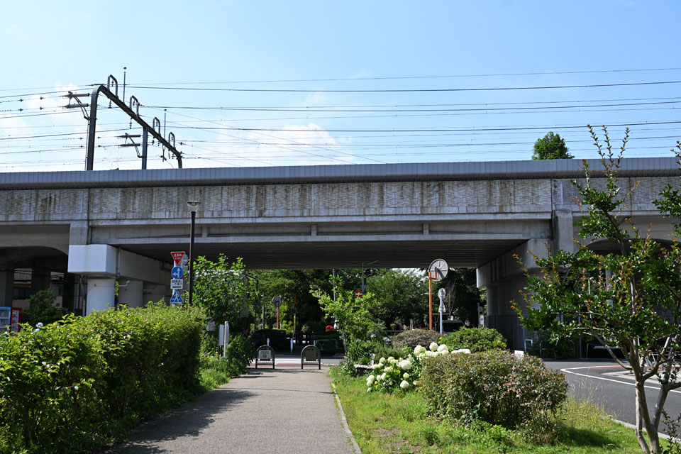 小田急線と経堂橋