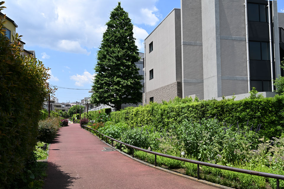 クリスマスツリー？