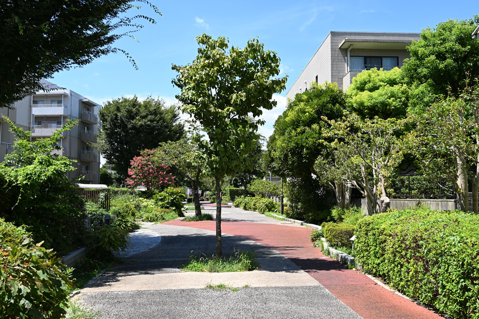 経堂赤堤通り団地東側