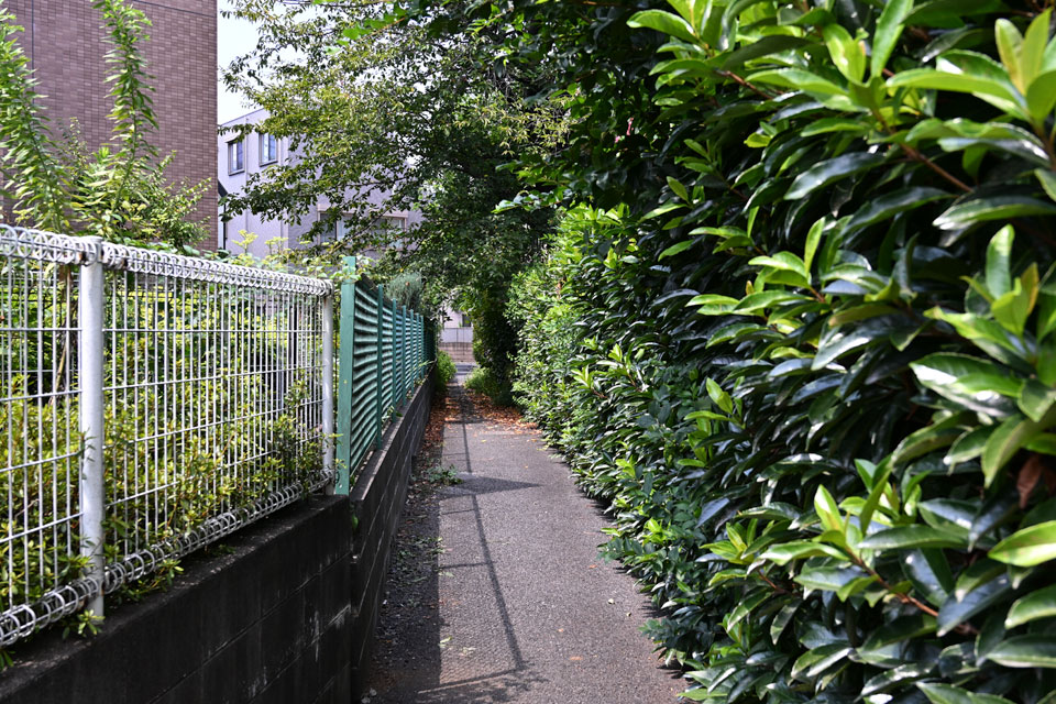 フェンスと生垣