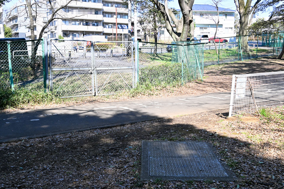 サイクリングロード