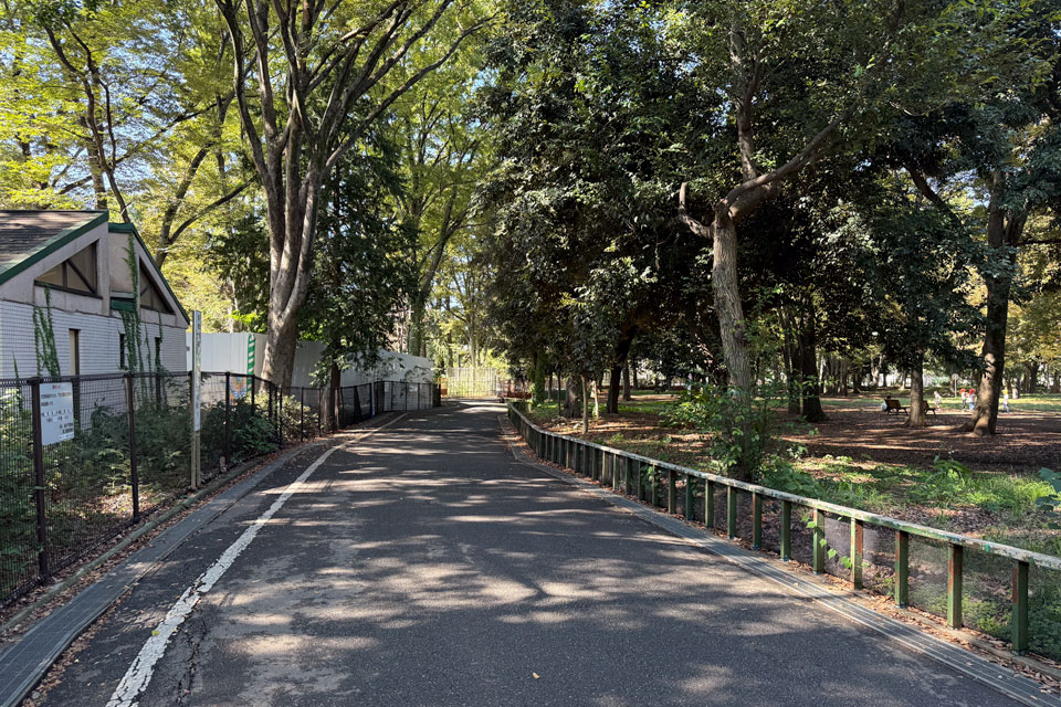 善福寺川へ
