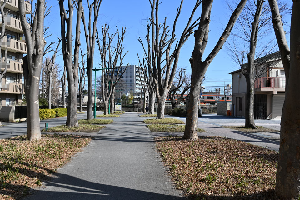 東京競馬場前駅
