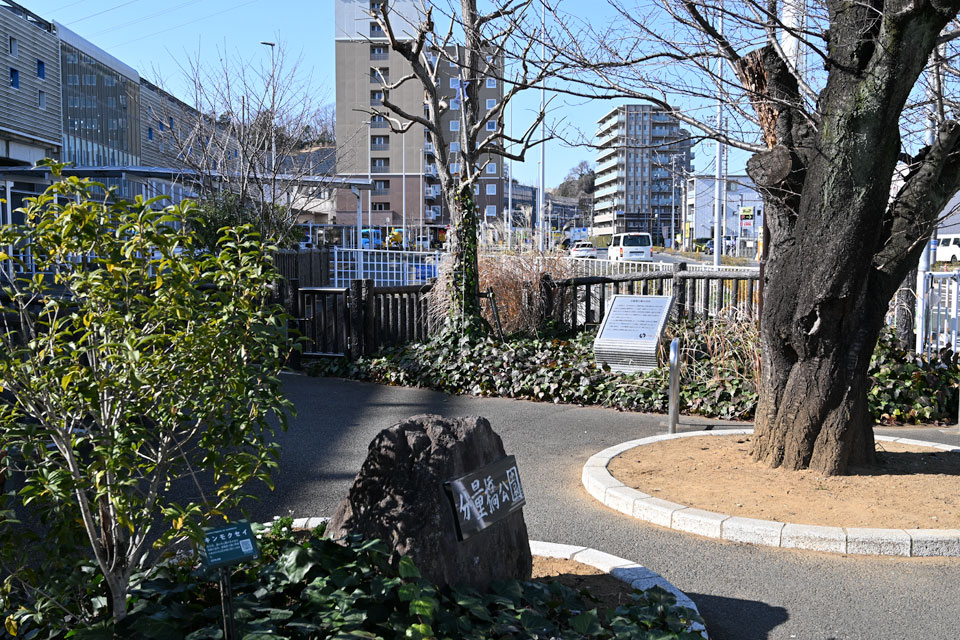 分量橋公園