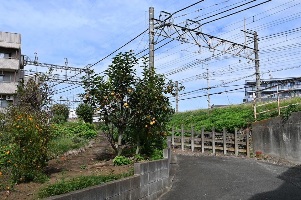 踏切跡