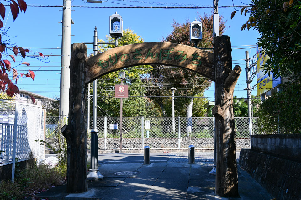 もりのさんぽみち